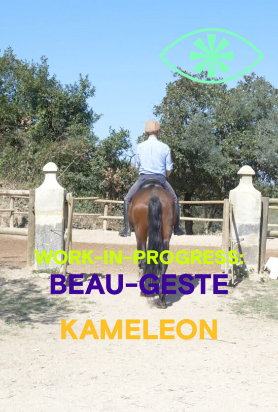 Work in Progress Beau Geste Kameleon