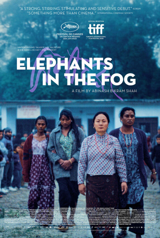 Elephants in the Fog ny
