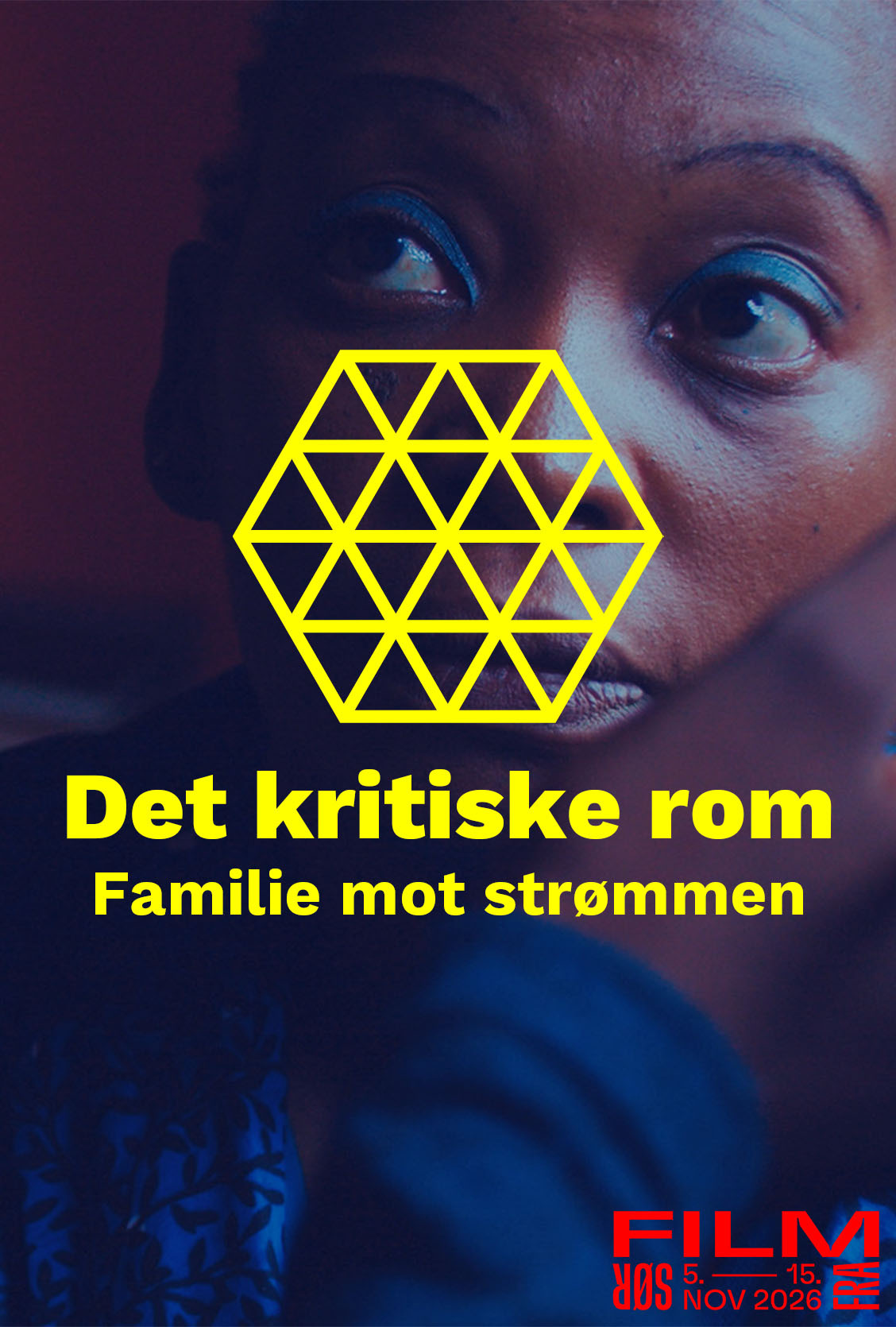 Det kritiske rom: Familie mot strømmen