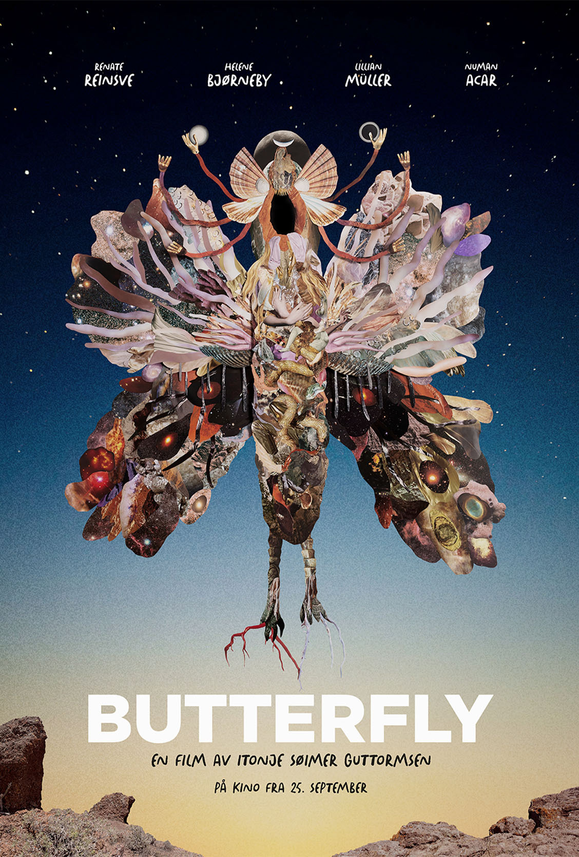 Butterfly